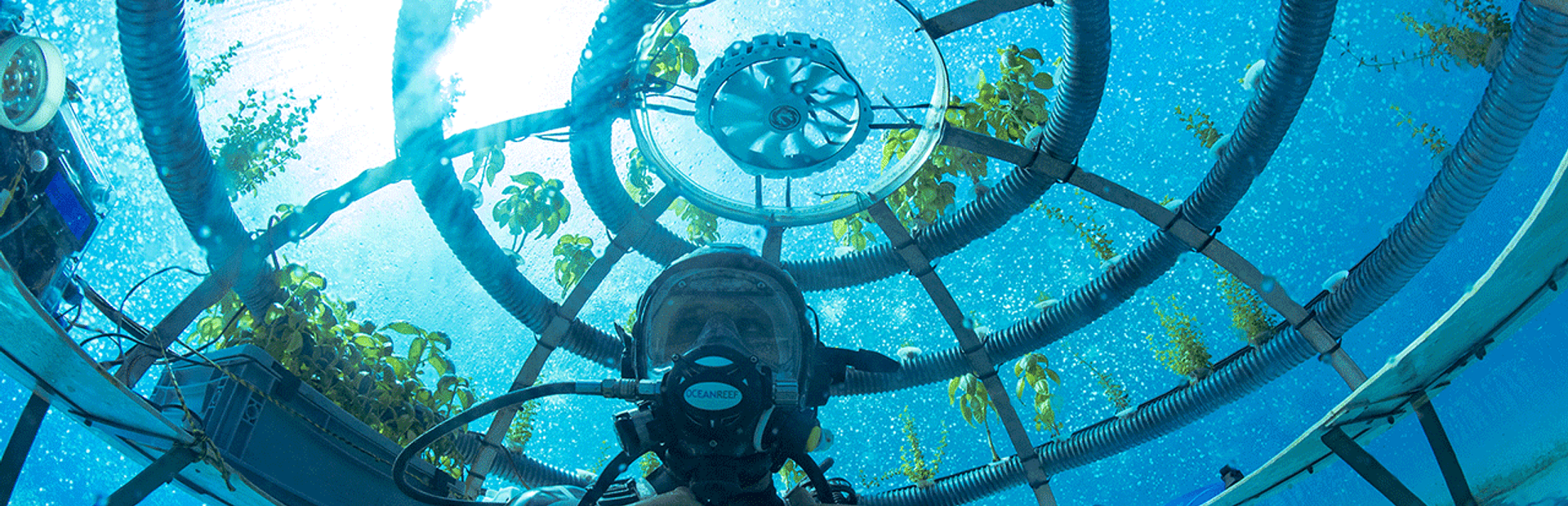 Siemens_Nemos_Garden_Xcelerator_Newsroom_tcm27-106719.png