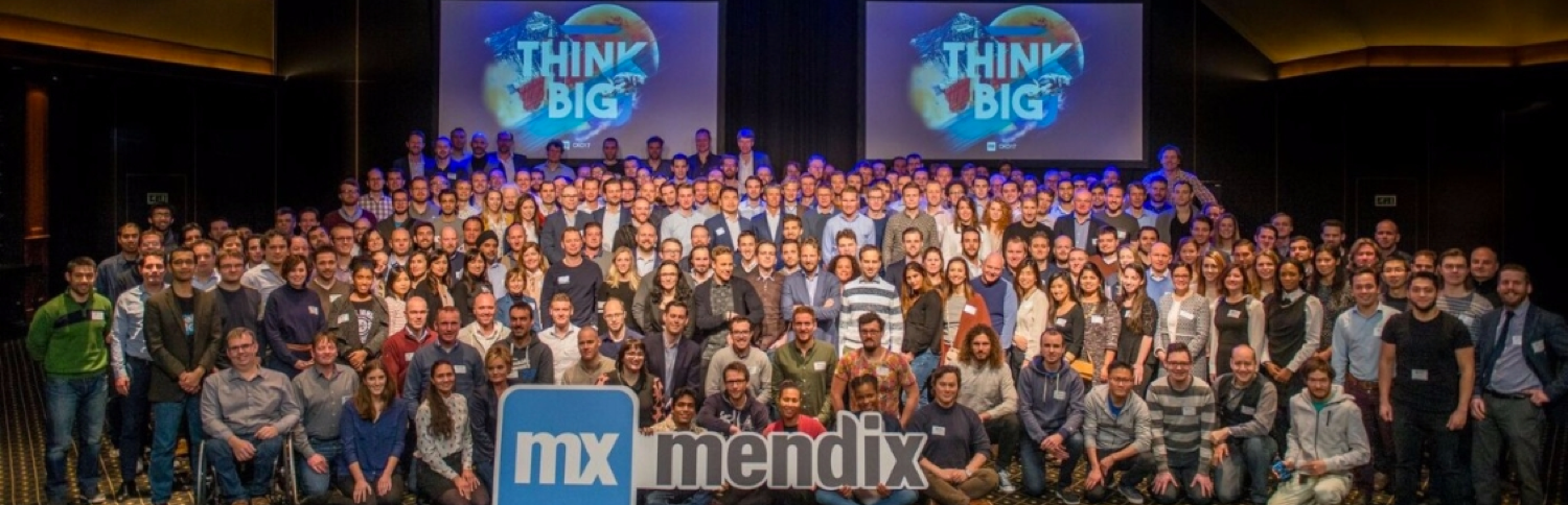Team společnosti mendix