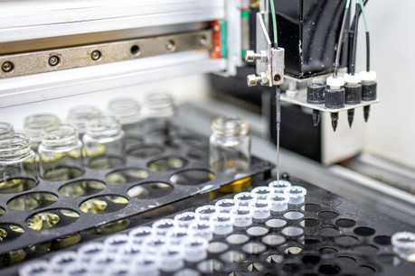 Robin Krystufek7.jpg