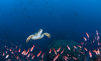 GettyImages-520524404_original.jpg