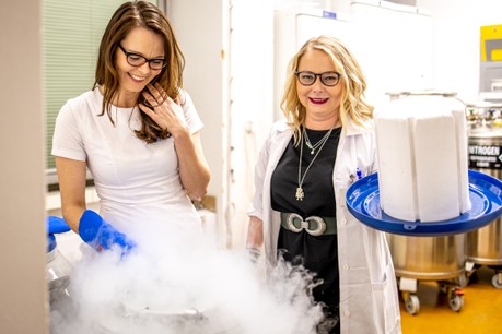 Cenu Wernera von Siemense v kategorii Nejvýznamnější výsledek základního výzkumu získaly MUDr. Markéta Bloomfield, Ph.D., a RNDr. Zuzana Paračková, Ph.D., z Univerzity Karlovy za práci s názvem Diagnostika výzkumem u vzácných vrozených poruch imunity.