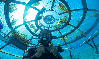 Siemens_Nemos_Garden_Xcelerator_Newsroom_tcm27-106719.png