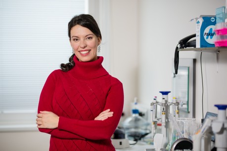 2. místo za disertační práci s názvem Studium interakcí funkčních povrchů s biologickými systémy získala Mgr. Ivana Víšová, Ph.D. z Fakulty Matematicko-fyzikální UK v Praze.