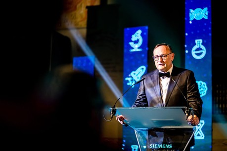 E. Palíšek, GŘ Siemens ČR