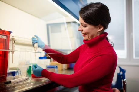 2. místo za disertační práci s názvem Studium interakcí funkčních povrchů s biologickými systémy získala Mgr. Ivana Víšová, Ph.D. z Fakulty Matematicko-fyzikální UK v Praze.