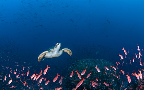 GettyImages-520524404_original.jpg